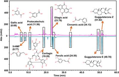 Peedanil Gold, Herbo-Mineral Formulation, Moderates Cytokine Levels and Attenuates Pathophysiology in Monosodium Iodoacetate Induced Osteoarthritis in SD Rat Model